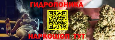 МДМА Ачхой-Мартан