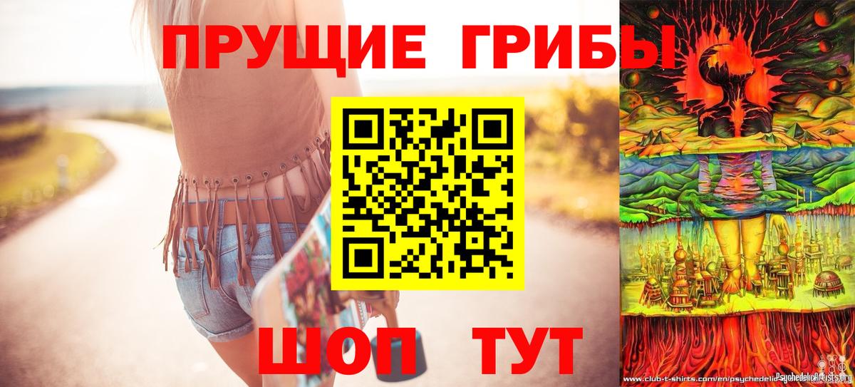 Златоуст  Галлюциногенные грибы Psilocybe  Псилоцибиновые грибы мицелий  Вход с VPN 